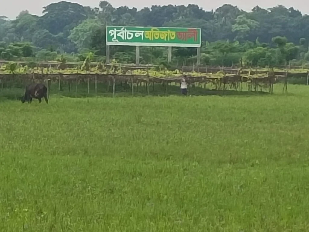 WhatsApp Image 2023-07-19 at 4.31.15 PM